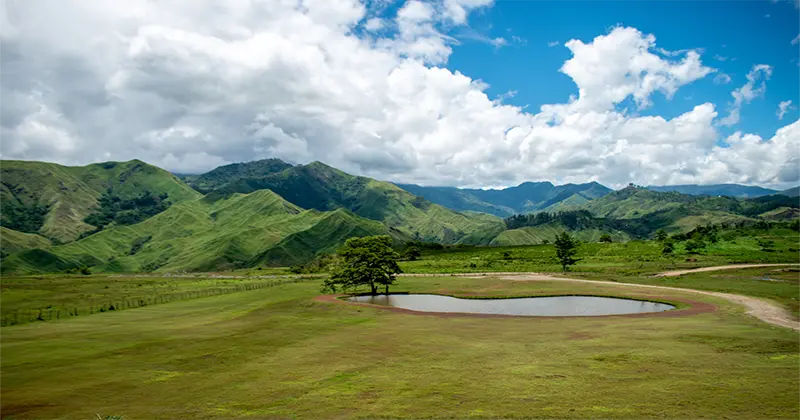 Impasugong Communal Ranch